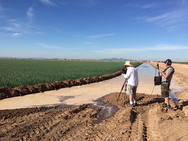 Drought costs California agriculture $1.84 Billion and 10100 jobs in 2015