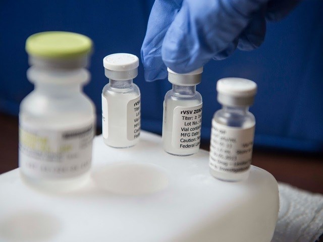 Ebola vaccine shows 'promising' results: WHO