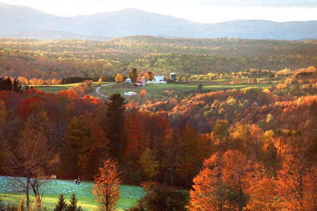 Seeing the sunnier side of life -- scientists bring a whole new meaning to