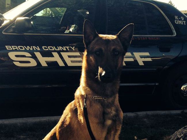 Brown County sheriff's K-9 Wix dies at PGA tourney