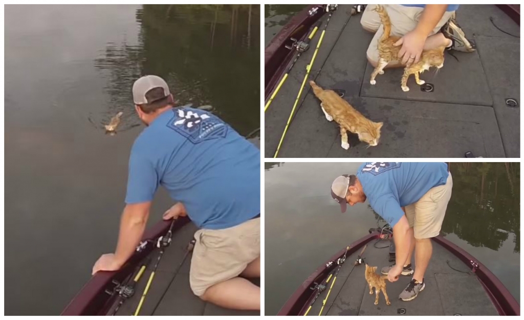 Two men go 'catfishing' and haul in the catch of a lifetime