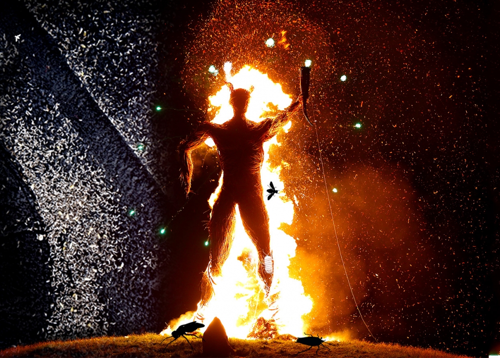 A biblical swarm of creepy crawlies have infiltrated the Burning Man festival site in Nevada