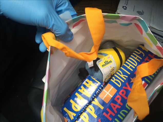 Cops NYC Drug Dealer Disguised His Coke Shipments With Minion Dolls