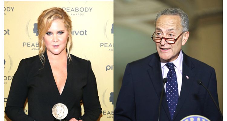 Amy Schumer gun control