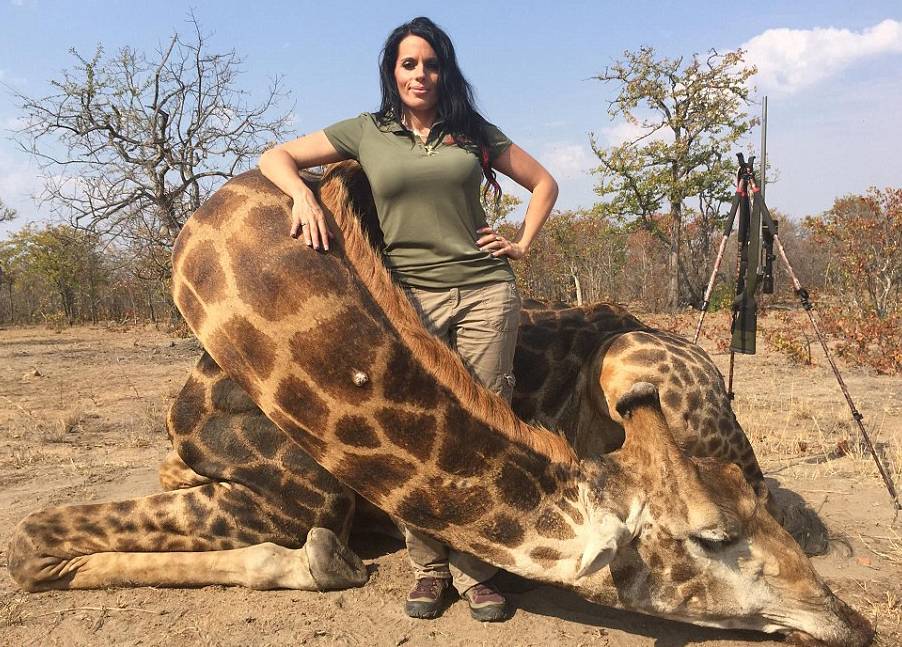 Sabrina Corgatelli uploaded this image of her posing over a giraffe she shot on her South Africa hunting trip