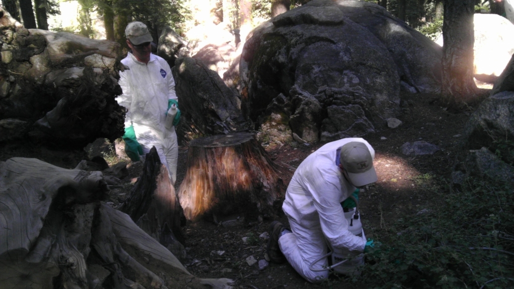 Scientists perform tests in Yosemite National Park