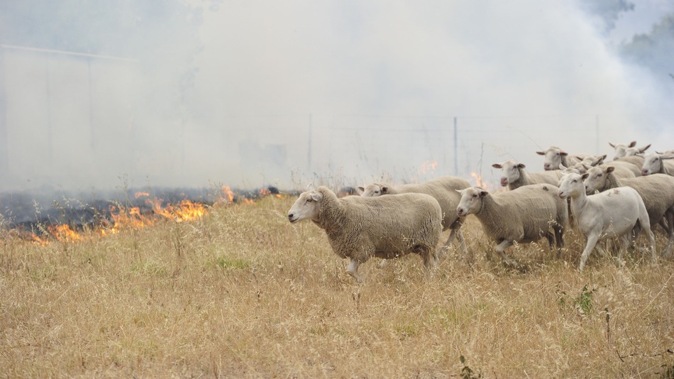 Australia-climate-plan