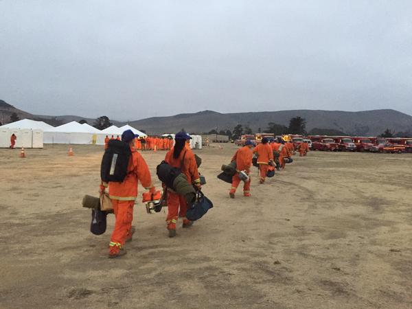 Calif. Firefighters Face Terrifying Threat of Falling 'Monster Trees'