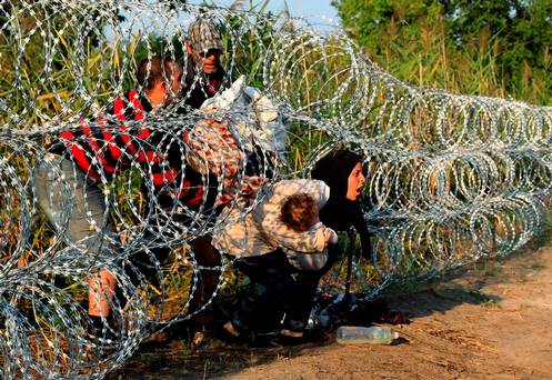 Syrian migrants cross under a fence as they enter Hungary at the border with Serbia