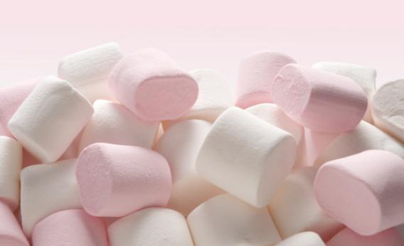 Android Marshmallow Release Date And Features What We Know So Far