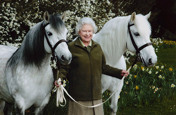 The Queen with her Highland Ponies Windsor 2006 Eva ZielinskaMillar