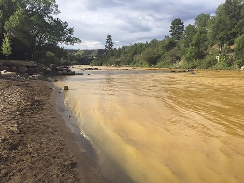 Yellow waste water that had been held behind a barrier near the abandoned Gold King Mine is seen in the Animas River in Durango Colorado in this