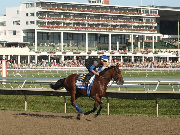 Triple Crown winner American Pharoah Jorge Alvarez up takes a morning gallop in front of fans at Monmouth Park in Oceanport N.J. Friday morning