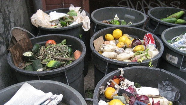 British people throw away more edible food than citizens of other European