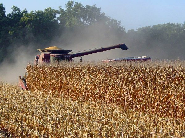 The U.S. Department of Agriculture says farmers in 88 of Indiana