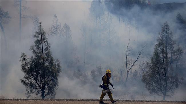 A Fire firefighter walks by burned out trees during a backfire operation to head off the Rocky Fire