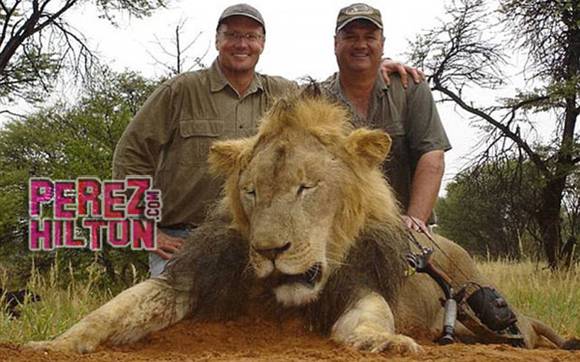 Walter Palmer became the world's most despised dentist after he paid to kill Africa's beloved lion Cecil earlier this month