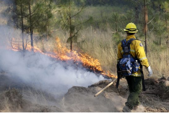 Washington Wildfire Closes In On Grand Forks, BC