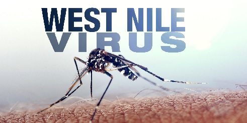 First West Nile case confirmed in Atlanta, Georgia