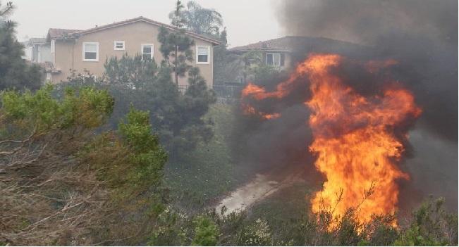 Wildfire Raging North of San Francisco Threatens Homes