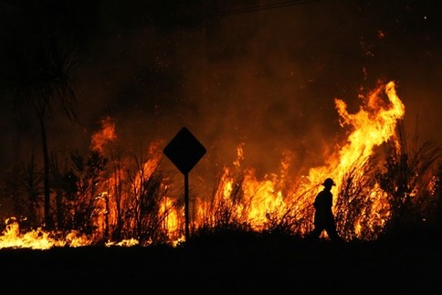 Worldwide wildfires sear scorch or incinerate about 350 million hectares of ground cover every year. Image Shutterstock