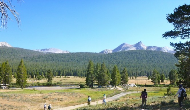 Yosemite Closes Campground After Plague Infected Squirrels Found Dead In The Park