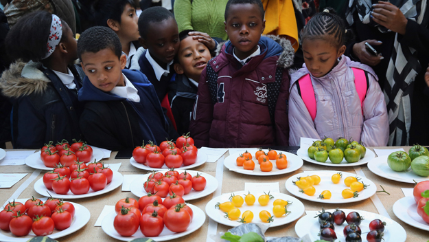 Children gather around a selection of vegetables at RHS London Harvest Festival Show