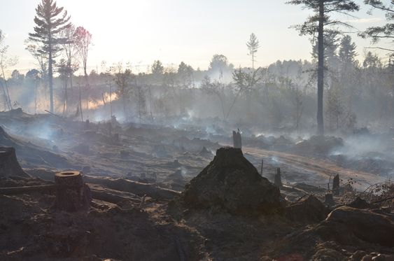 Michigan Department of Natural Resources some of the roughly 70 acres burned by the Marquette County Road 601 fire in Humboldt Township Mich. is seen. Crews in Michigan's Upper Peninsula are making progre