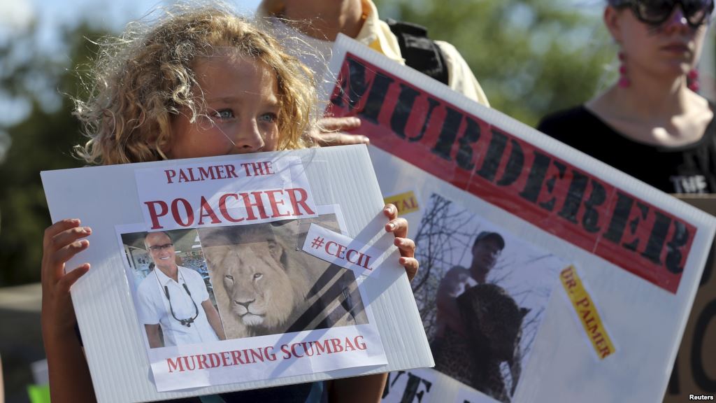 Protesters hold signs during a rally outside the River Bluff Dental clinic against the killing of a famous lion in Zimbabwe in Bloomington Minnesota