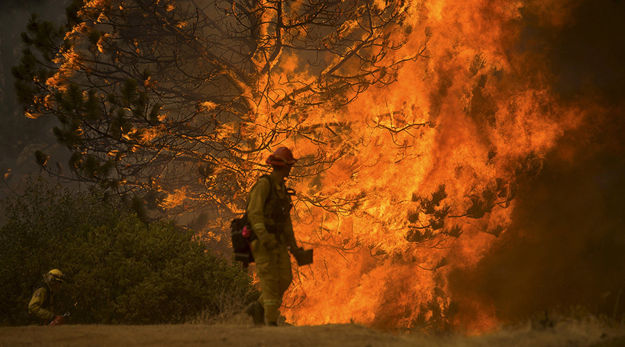 A firefighter watches a tree burn as the Butte fire rages near San Andreas California