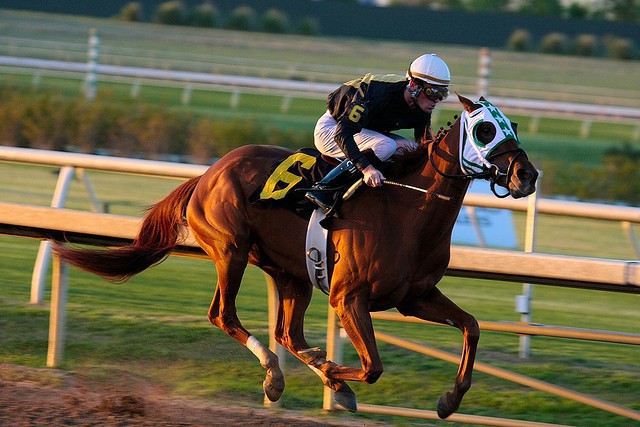 A race at Lone Star Park