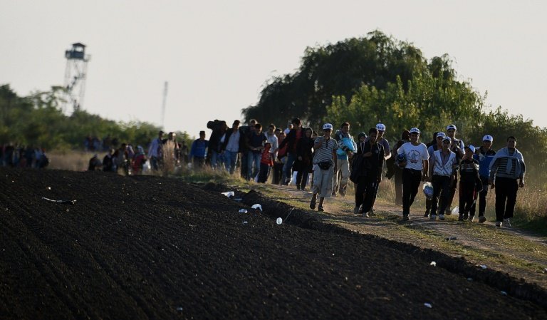 Migrants walk from the border line near Roszke village on the Hungarian Serbian border