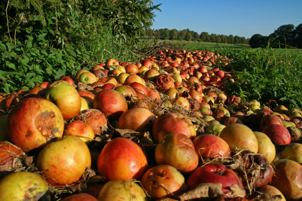 Agriculture secretary announces goal for cutting food waste