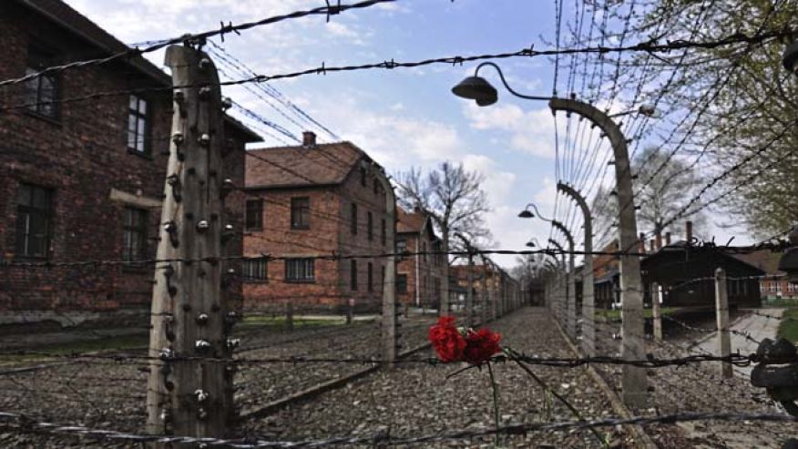 Carnations are placed on the barbed wire in the former Nazi death camp of Auschwitz