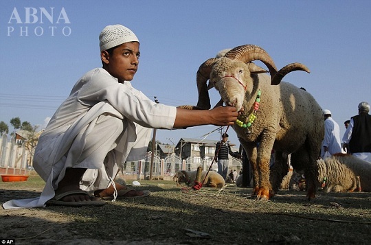 Eid Al Adha expected on September 23