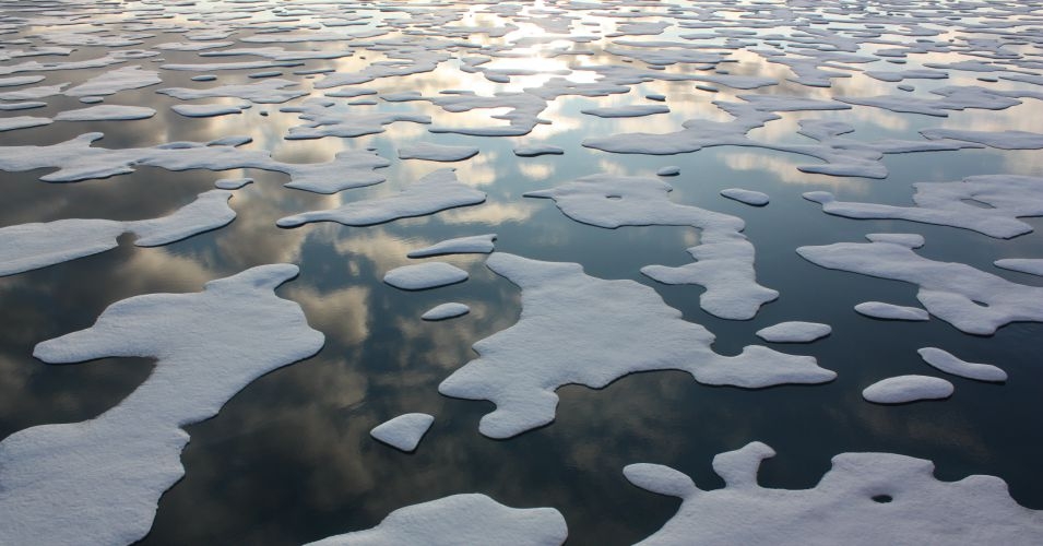 Feds: Arctic sea ice levels shrink to 4th lowest level