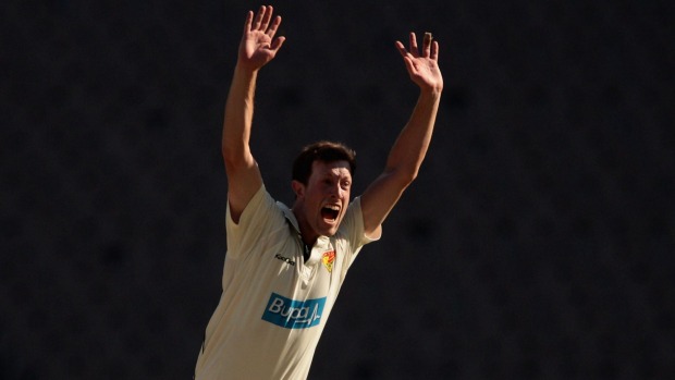 On the rise Tasmanian seamer Andrew Fekete appeals for a wicket during the Sheffield Shield match against Victoria at the Melbourne Cricket Ground last year