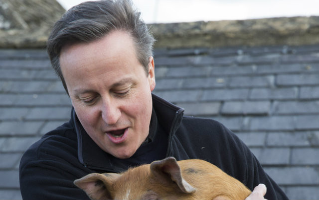 Book claims David Cameron put 'private part' in dead pig's mouth