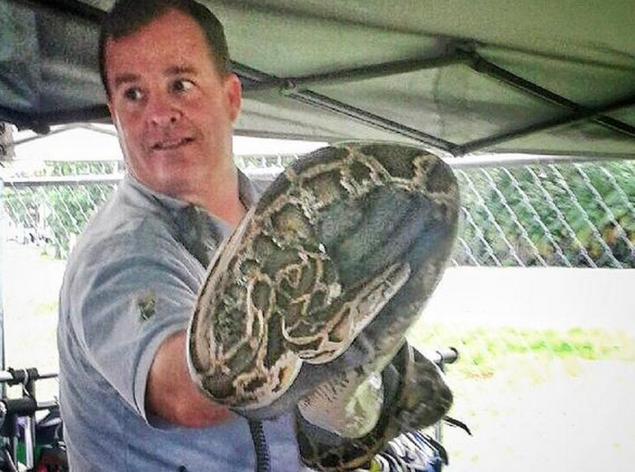 A customer at a flea market in Homestead Florida uncovered a sleeping 8-foot-long Burmese python curled up sleeping amidst stacks of clothes