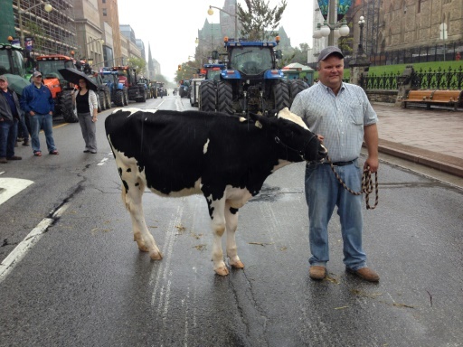 Canadian dairy farmers in tractors protest trade deal