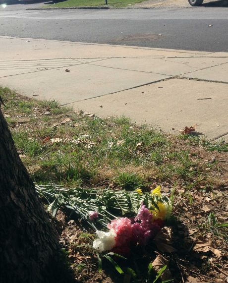 Flowers lie near the scene of where Delaware police officers fatally shot an armed man Wednesday Sept. 23 2015 in wheelchair after responding to a call that he had a self-inflicted gunshot wound is seen Thursday Sept. 24 2015 in Wilmington Del. Au