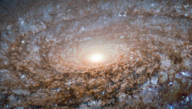 NASA's Hubble Telescope Shows Us a Woolly Galaxy