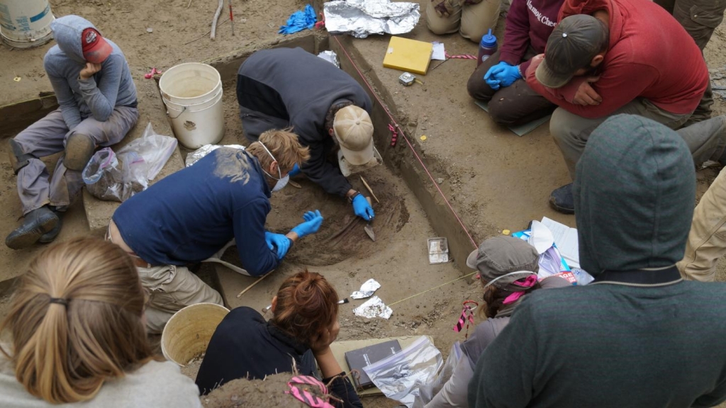 Researchers work on excavation at The Upward Sun River site in Alaska. Credit