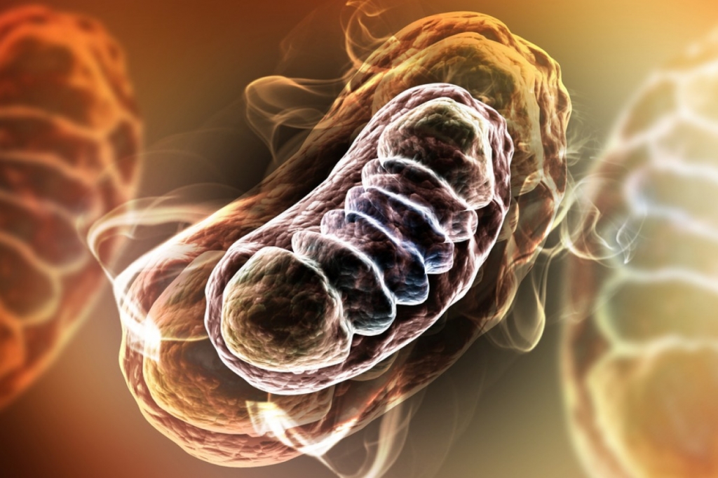 Dopamine-Neurons’ High Energy Requirements Leads to Neuronal Overheating in Parkinson’s Disease