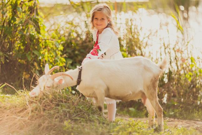 How farm life can prevent allergies