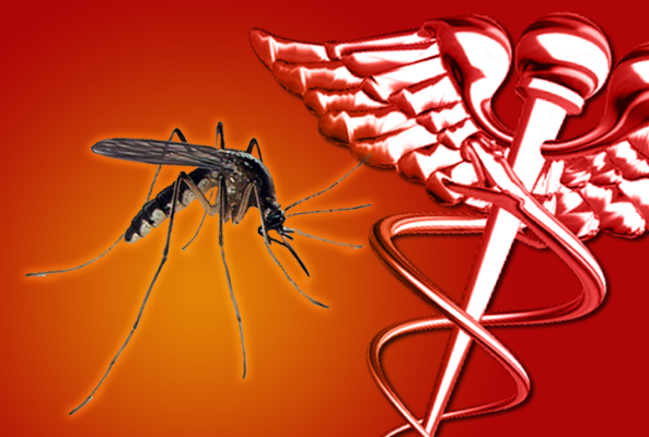 First death reported from West Nile virus