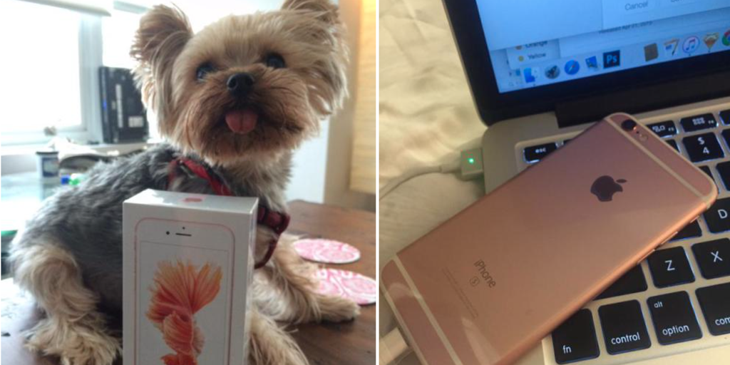 GadgetsTech      Apple fan gets new iPhone 6S delivered THREE DAYS early
     
     
       By Jamie Lewis