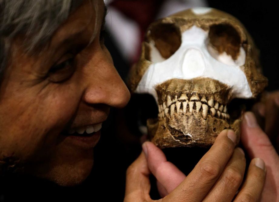 Professor Adam Habib holds a reconstruction of Homo naledi presented during the announcement made in Magaliesburg South Africa Thursday Sept. 10 2015. Scientists say they’ve discovered a new member of the human family tree revealed by a huge trov