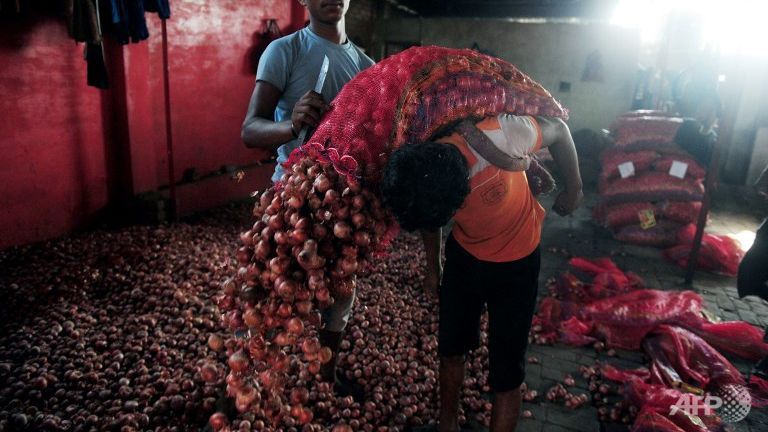 Indian labourers unload onions for sorting at Mundera wholesale market in Allahabad on Sep 9 2015.
   
 

  Enlarge  Caption