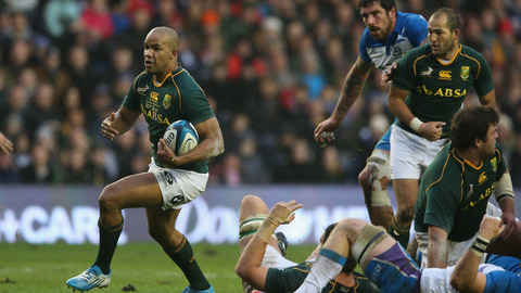 JP Pietersen says the Springboks goal for the past four years has been the World Cup and trying to win